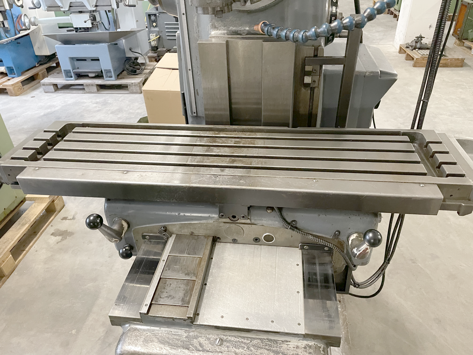 Image for product 9923787915603