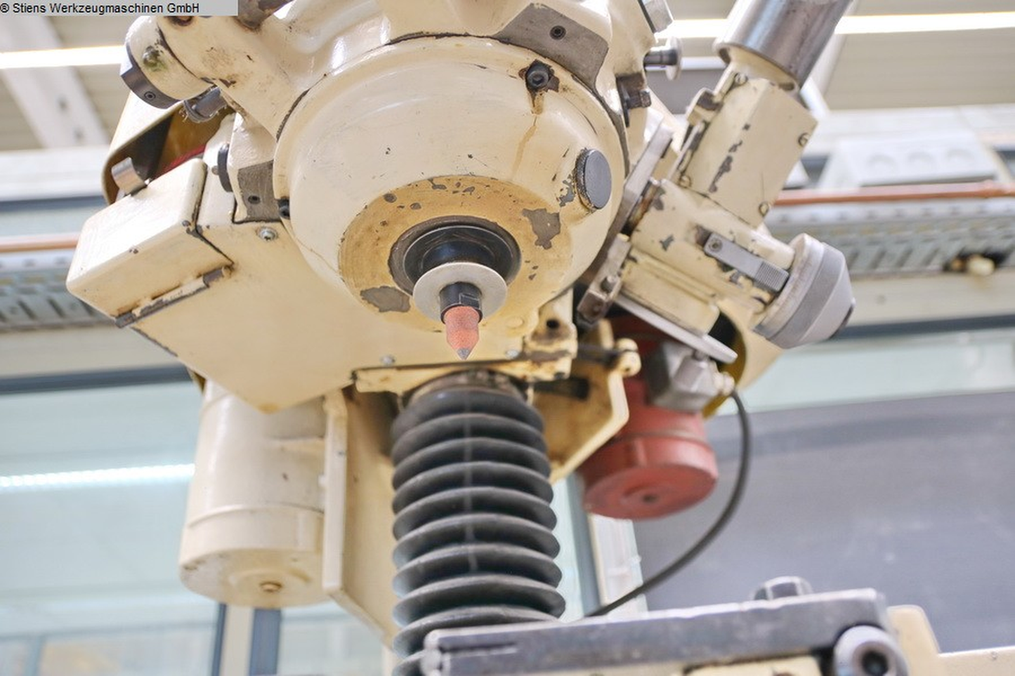 Image for product 9923774185811