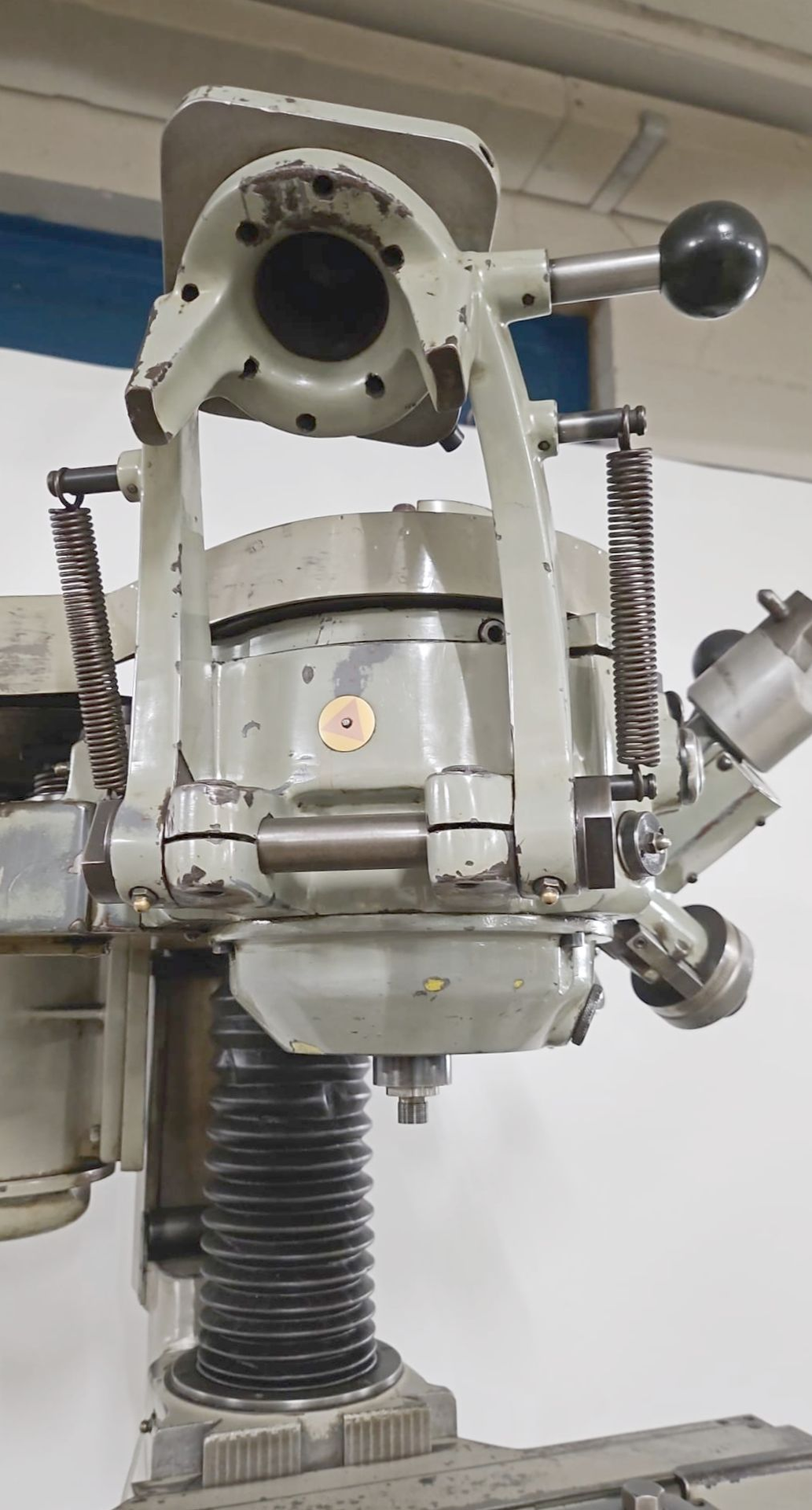 Image for product 9923773694291